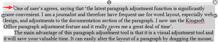 wps special paragraph layout tool