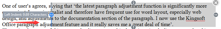 wps special paragraph layout tool