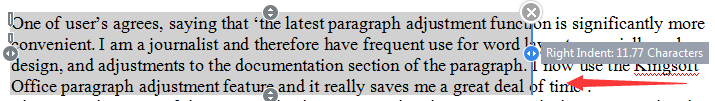 wps special paragraph layout tool