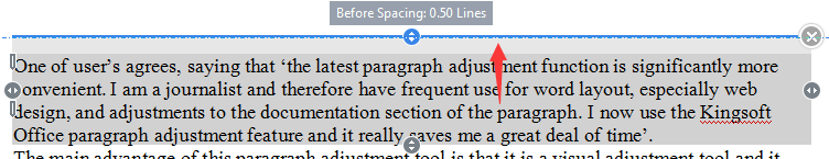 wps special paragraph layout tool