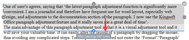 wps special paragraph layout tool